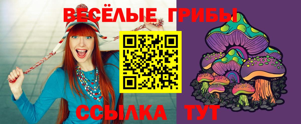 Галлюциногенные грибы прущие грибы Приморско-Ахтарск
